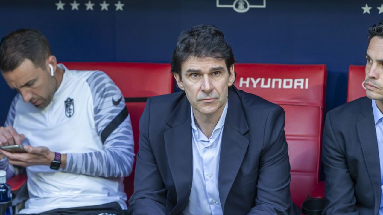 Aitor Karanka