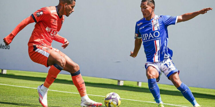 Mannucci vs vallejo