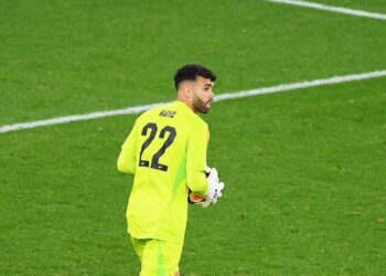 David Raya, un guardameta con experiencia