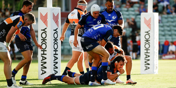 Franco Molina apoya un try para Western Force en el Súper Rugby Pacific