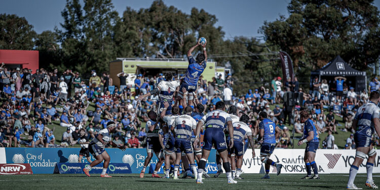 El segunda lÃnea argentino Franco Molina en acción con Western Force ante Blues