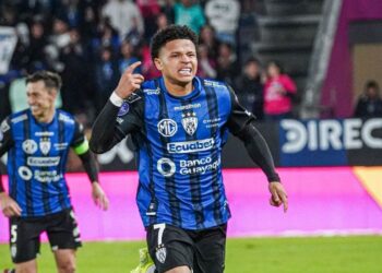 Patrik Mercado como figura de IDV