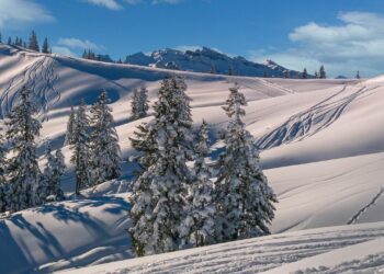 Retrato de Eileen GU