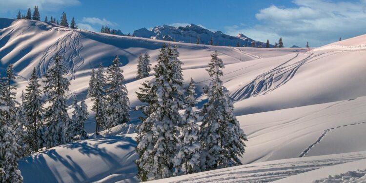 Retrato de Eileen GU