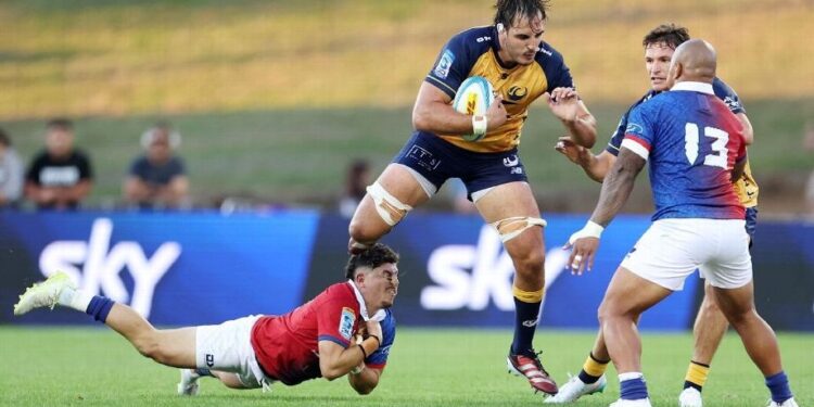 Franco Molina vio acción para Western Force ante Highlanders en la fecha 4 del Super Rugby Pacific