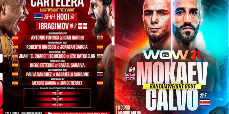 Anuncio cartel WOW 31